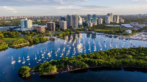 Coconut Grove